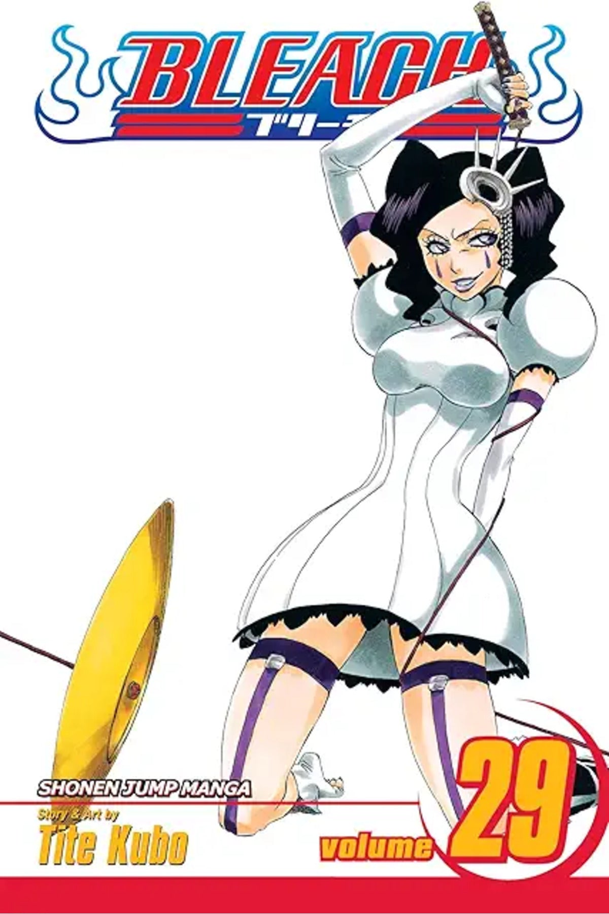 Bleach 29