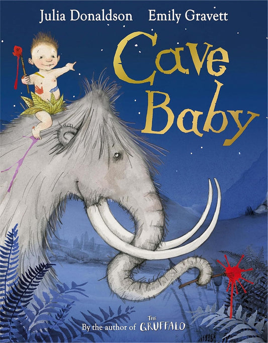 Cave Baby Paperback – Illustrated by Julia Donaldson