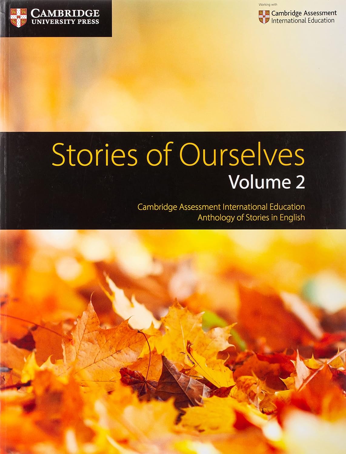 Stories of Ourselves - English Literature