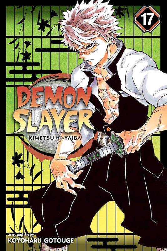 Demon Slayer: Kimetsu No Yaiba, Vol. 17...